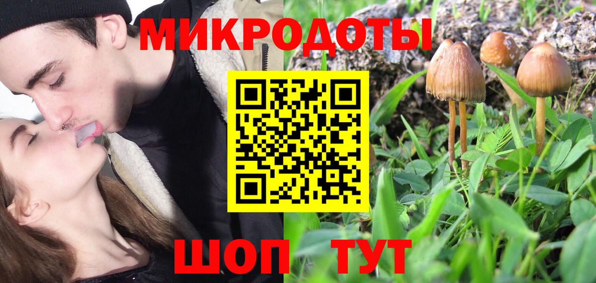 Черкесск  Псилоцибиновые грибы MAGIC MUSHROOMS  Вход с VPN 
